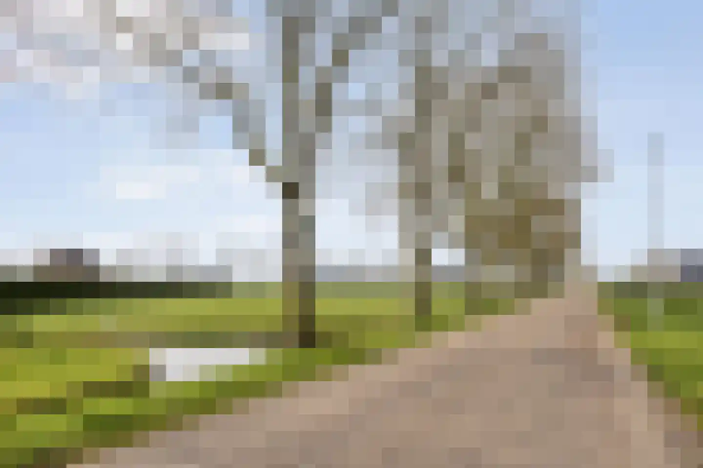 Hovendsedijk 51 Brakel thumbnail 56