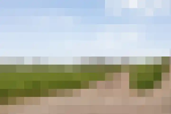 Hovendsedijk 51 Brakel thumbnail 57