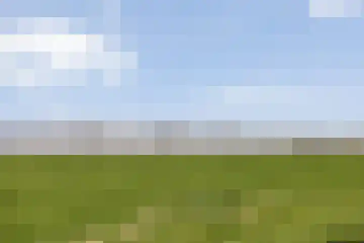Hovendsedijk 51 Brakel thumbnail 58