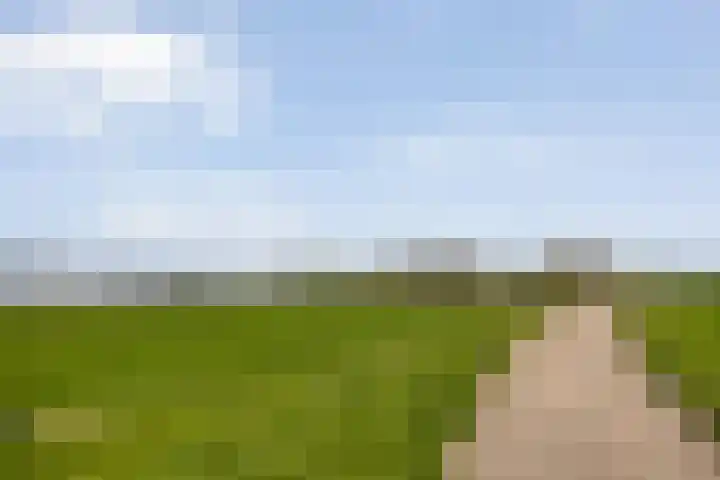Hovendsedijk 51 Brakel thumbnail 59