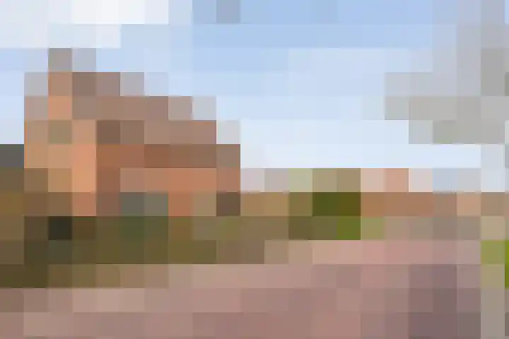 Hovendsedijk 51 Brakel thumbnail 6