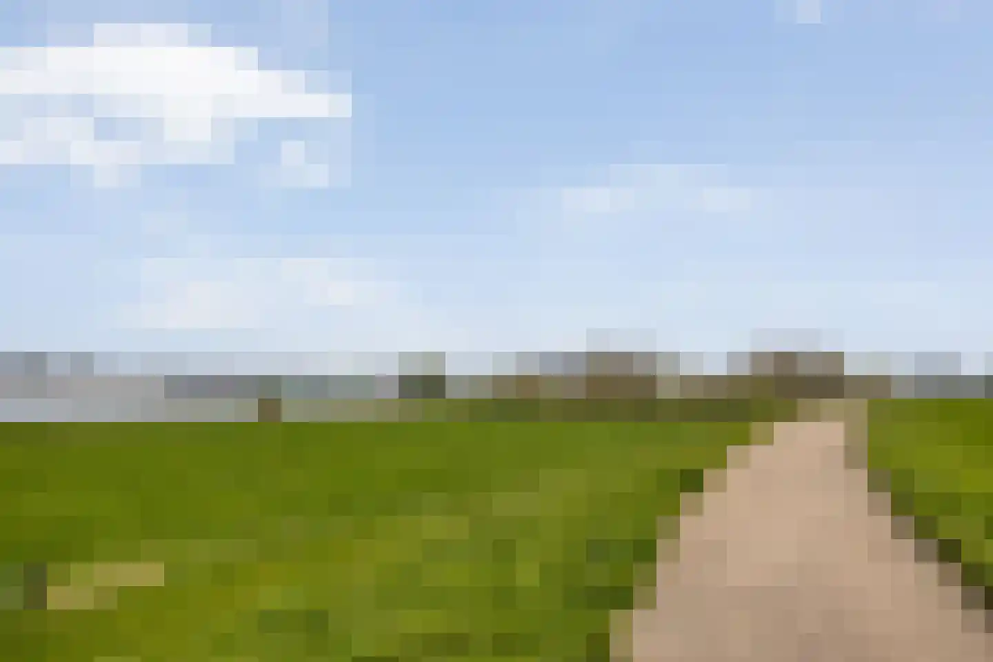 Hovendsedijk 51 Brakel thumbnail 60