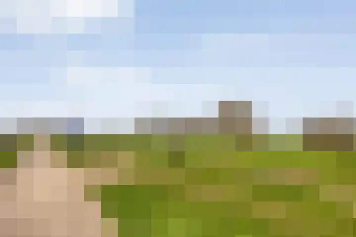 Hovendsedijk 51 Brakel thumbnail 60