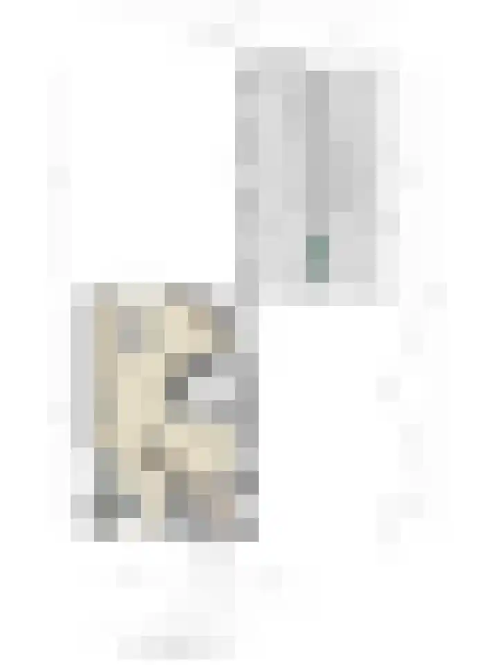 Hovendsedijk 51 Brakel thumbnail 61