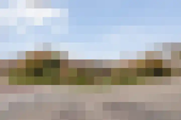 Hovendsedijk 51 Brakel thumbnail 7