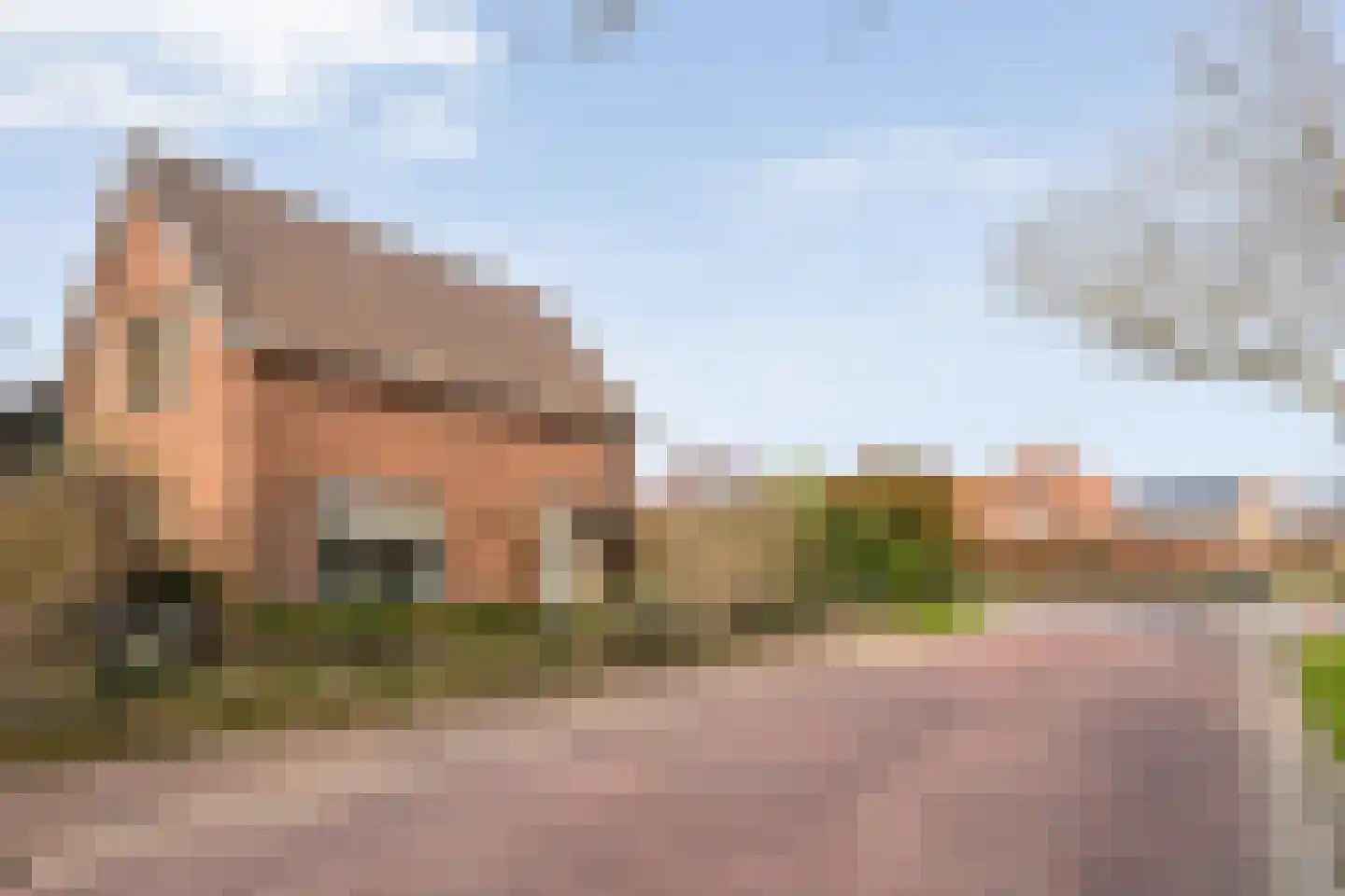 Hovendsedijk 51 Brakel thumbnail 7