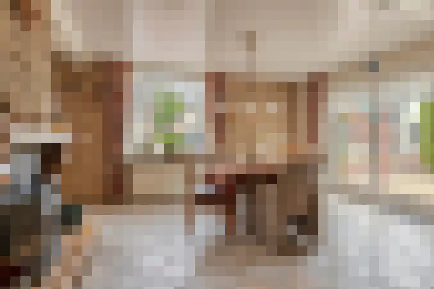 Hovendsestraat 14 Brakel thumbnail 16