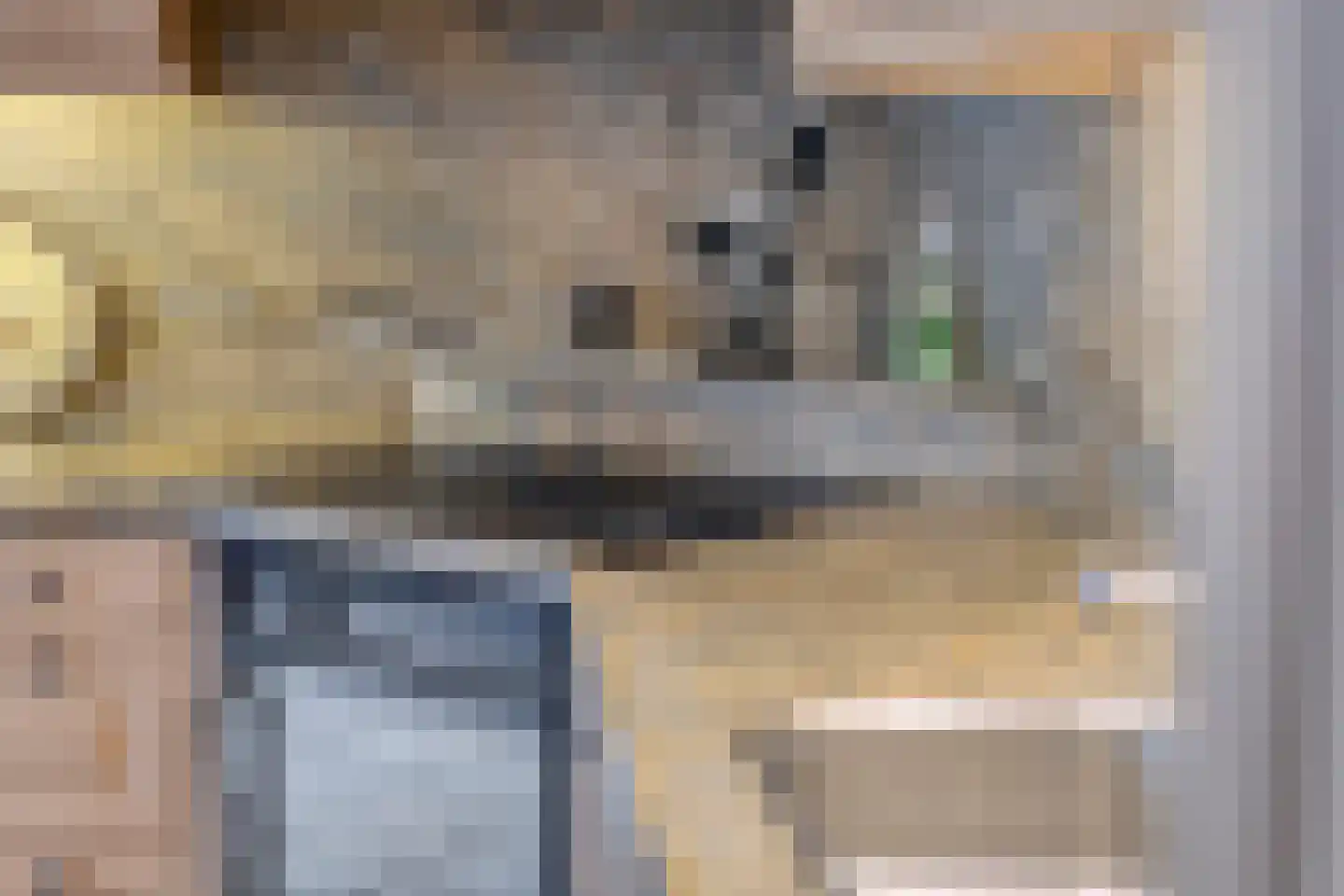 Hovendsestraat 14 Brakel thumbnail 22
