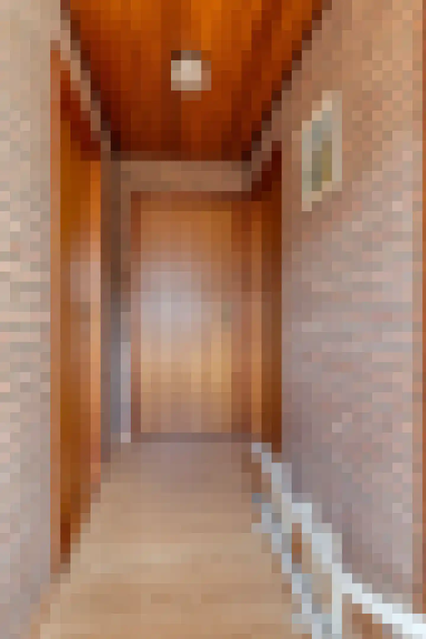 Hovendsestraat 14 Brakel thumbnail 25