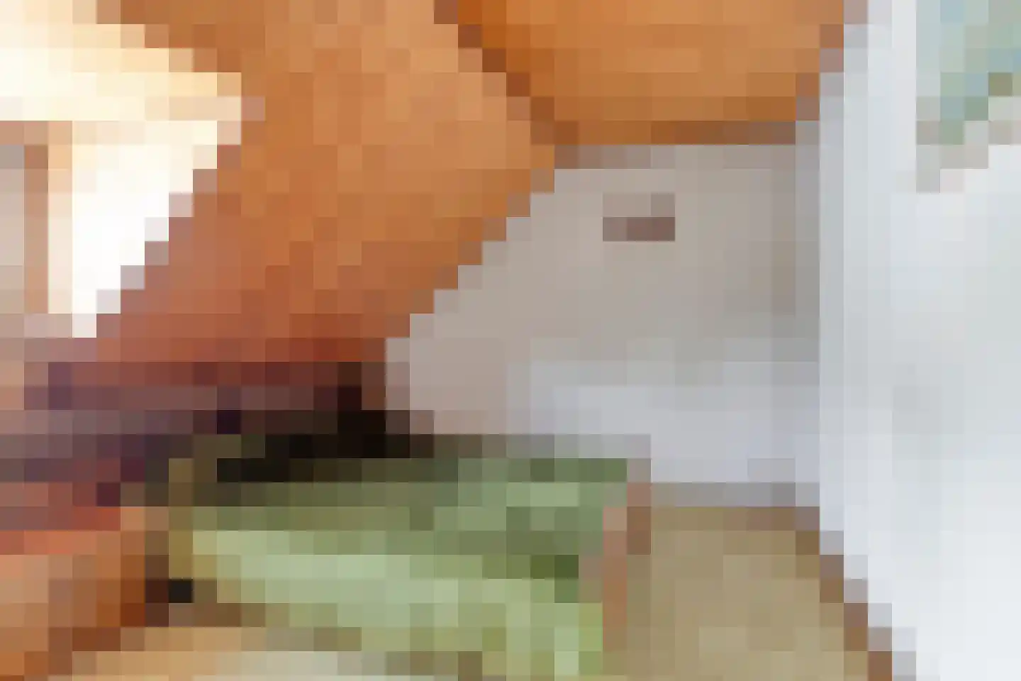 Hovendsestraat 14 Brakel thumbnail 29