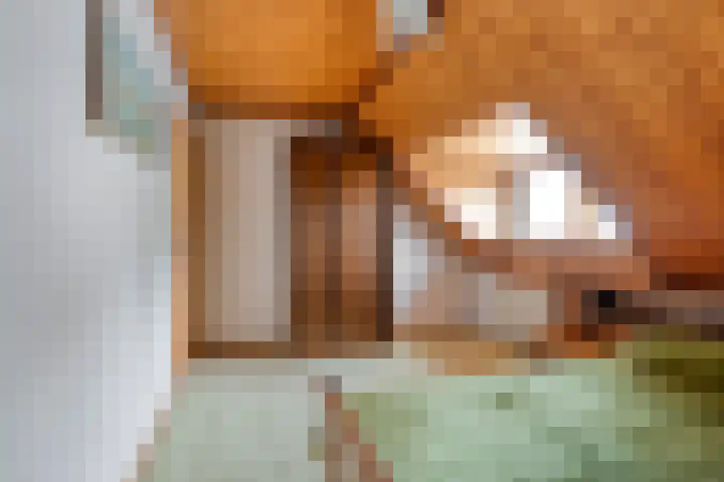 Hovendsestraat 14 Brakel thumbnail 30