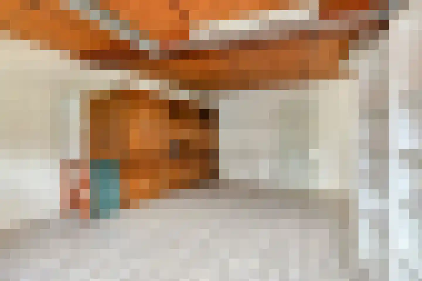 Hovendsestraat 14 Brakel thumbnail 34