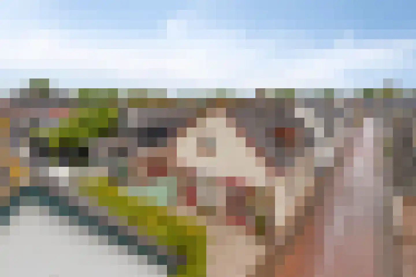 Hovendsestraat 14 Brakel thumbnail 5