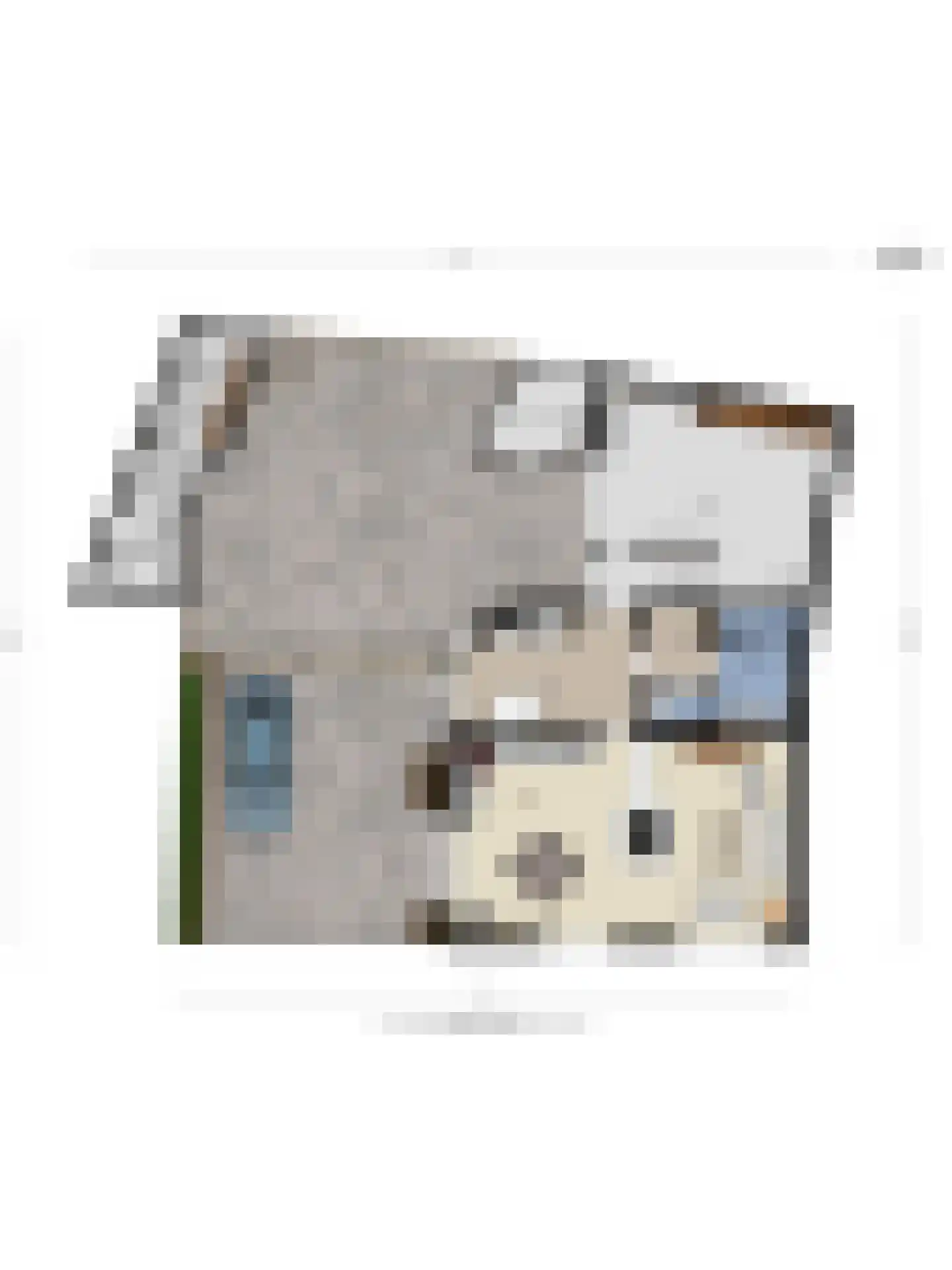 Hovendsestraat 14 Brakel thumbnail 51