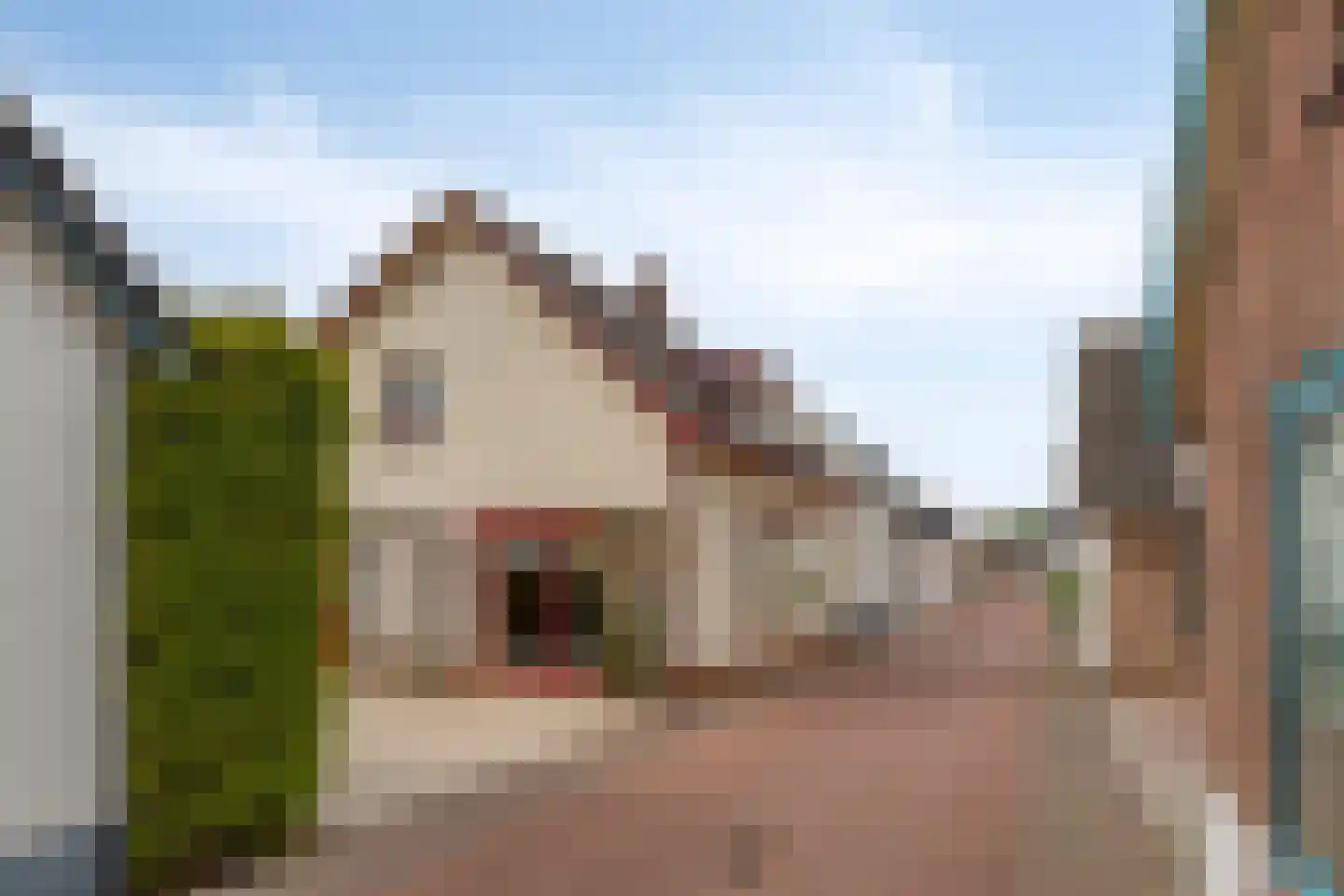 Hovendsestraat 14 Brakel thumbnail 6