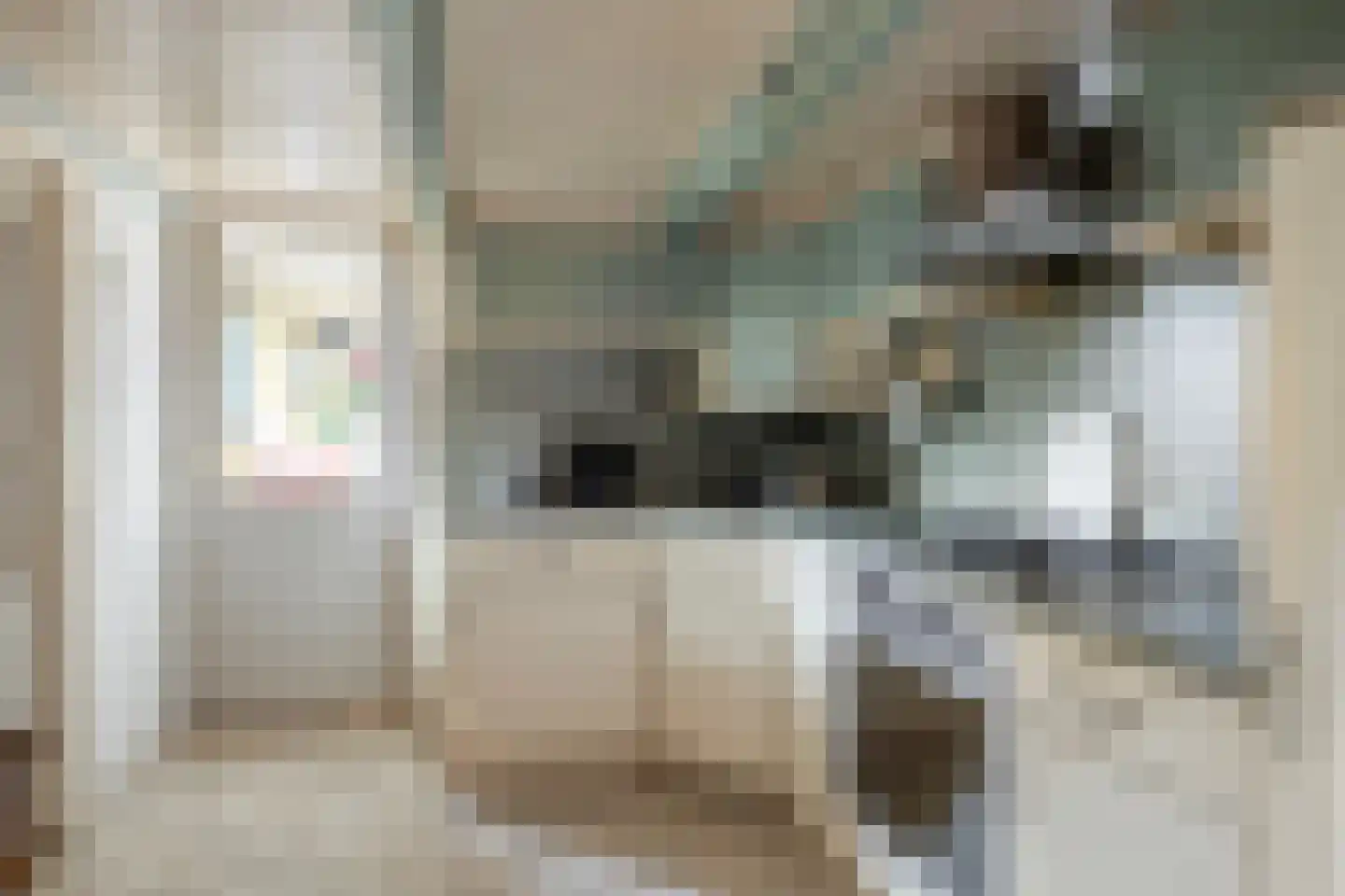 Hovendsestraat 18 Brakel thumbnail 11