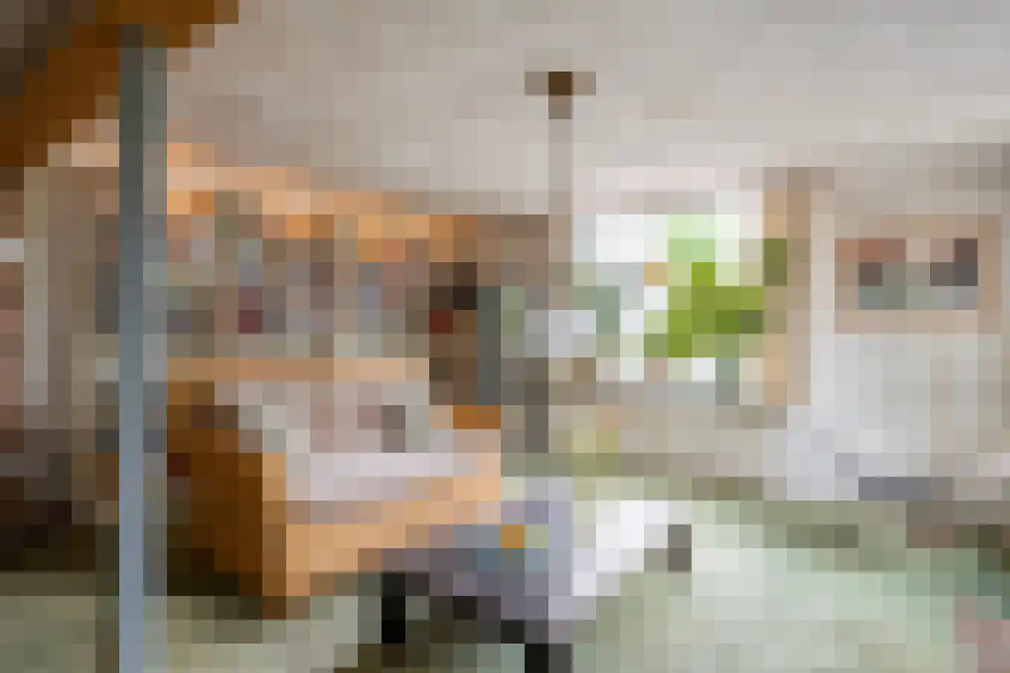 Hovendsestraat 18 Brakel thumbnail 17