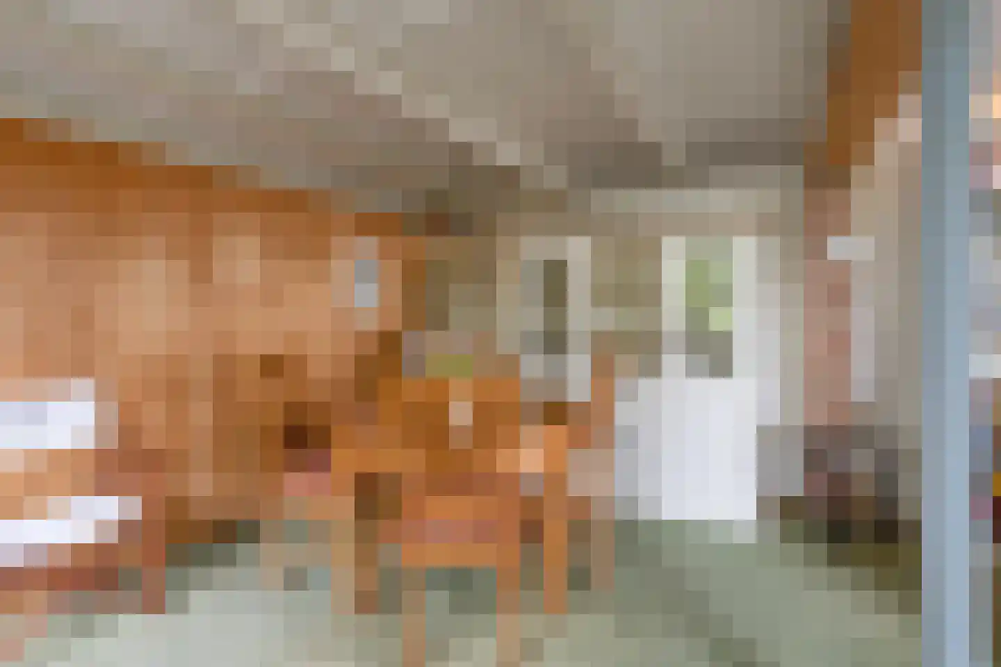 Hovendsestraat 18 Brakel thumbnail 20