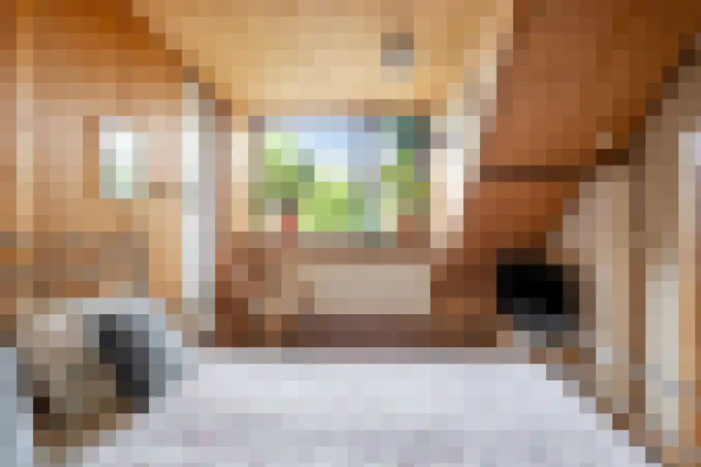 Hovendsestraat 18 Brakel thumbnail 31