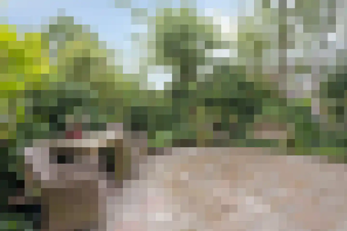 Hovendsestraat 18 Brakel thumbnail 35
