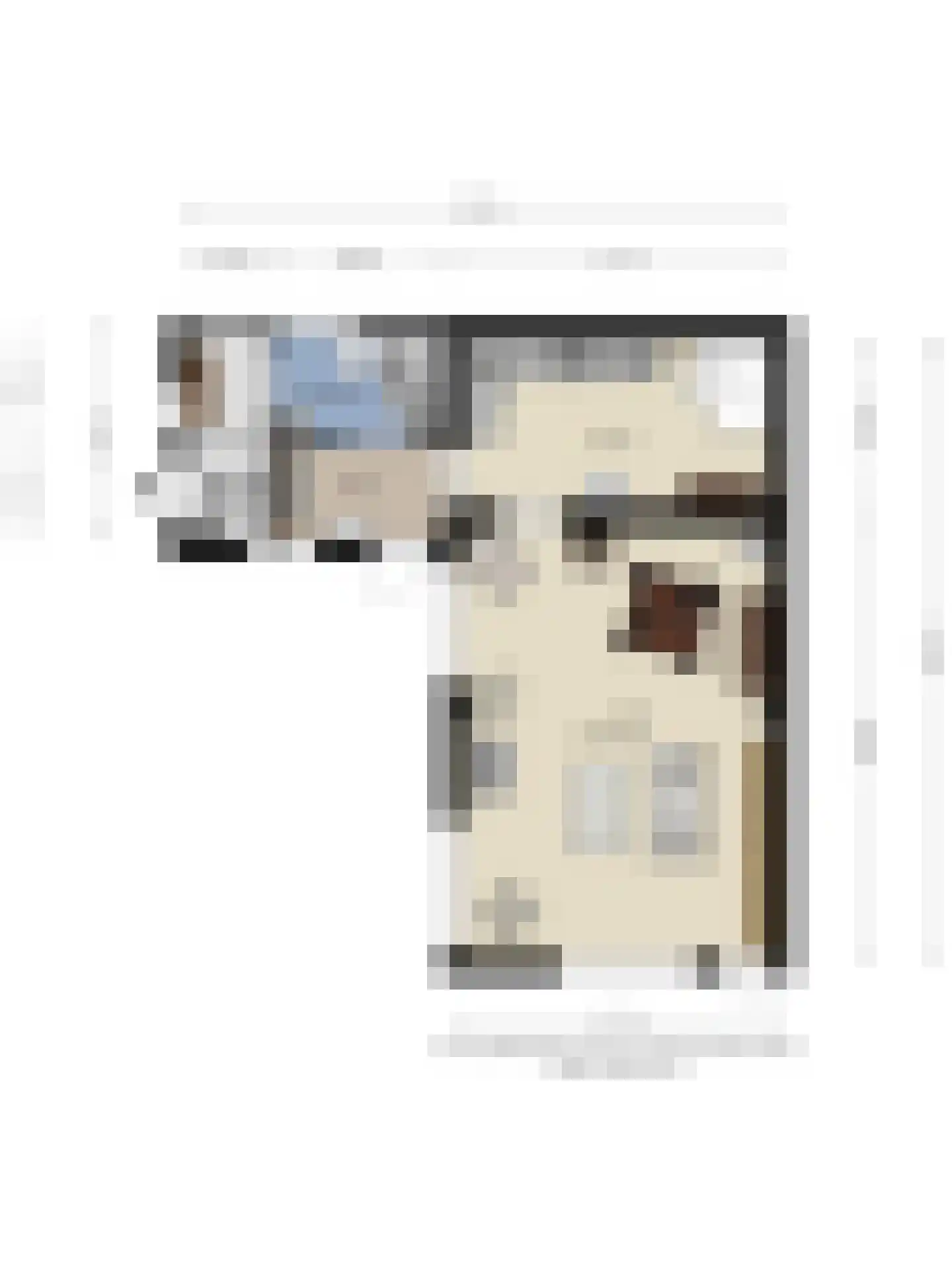Hovendsestraat 18 Brakel thumbnail 37
