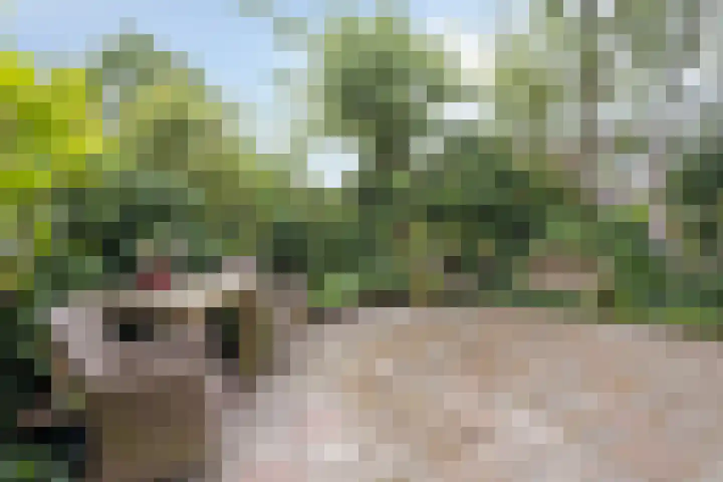 Hovendsestraat 18 Brakel thumbnail 4
