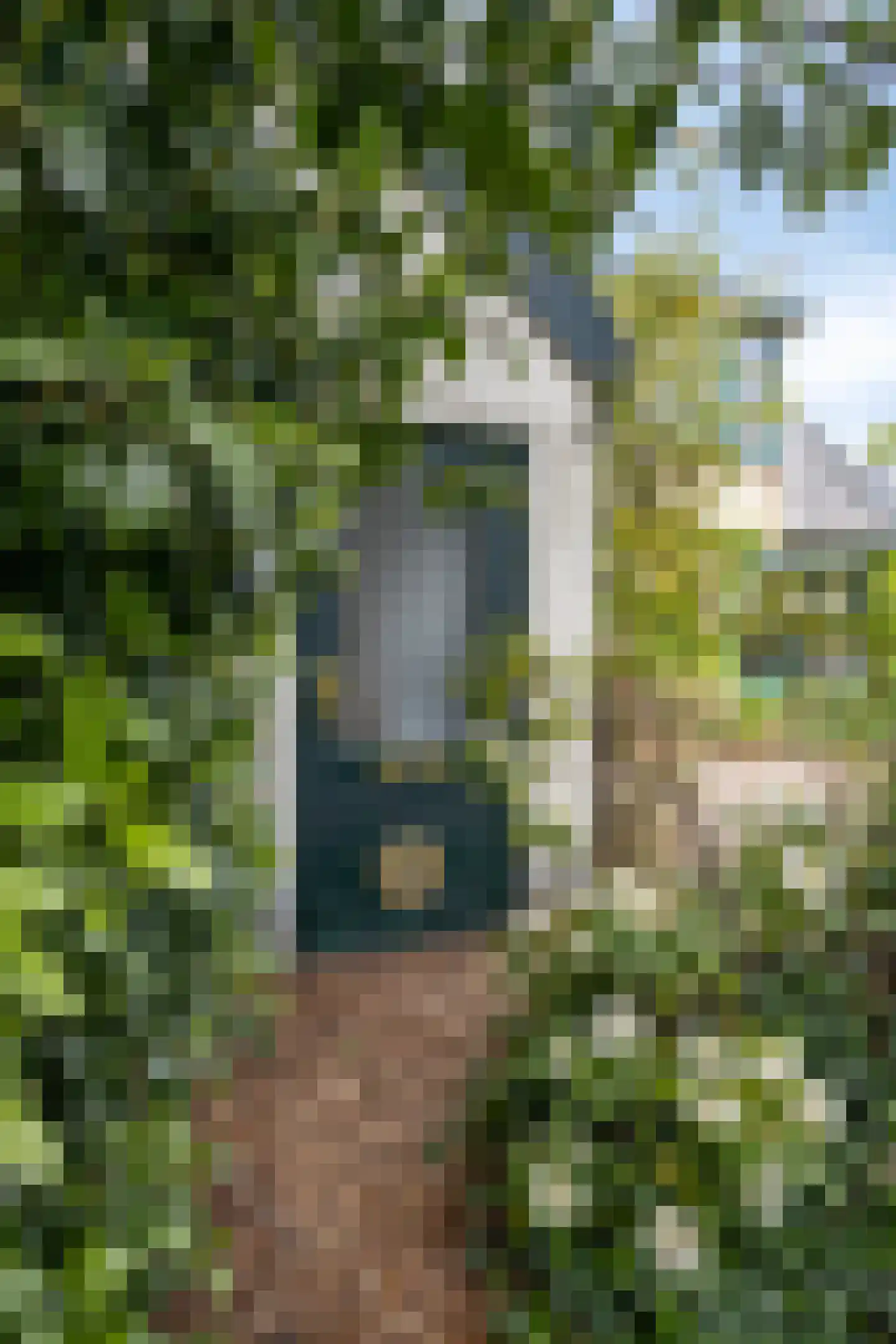 Hovendsestraat 18 Brakel thumbnail 6