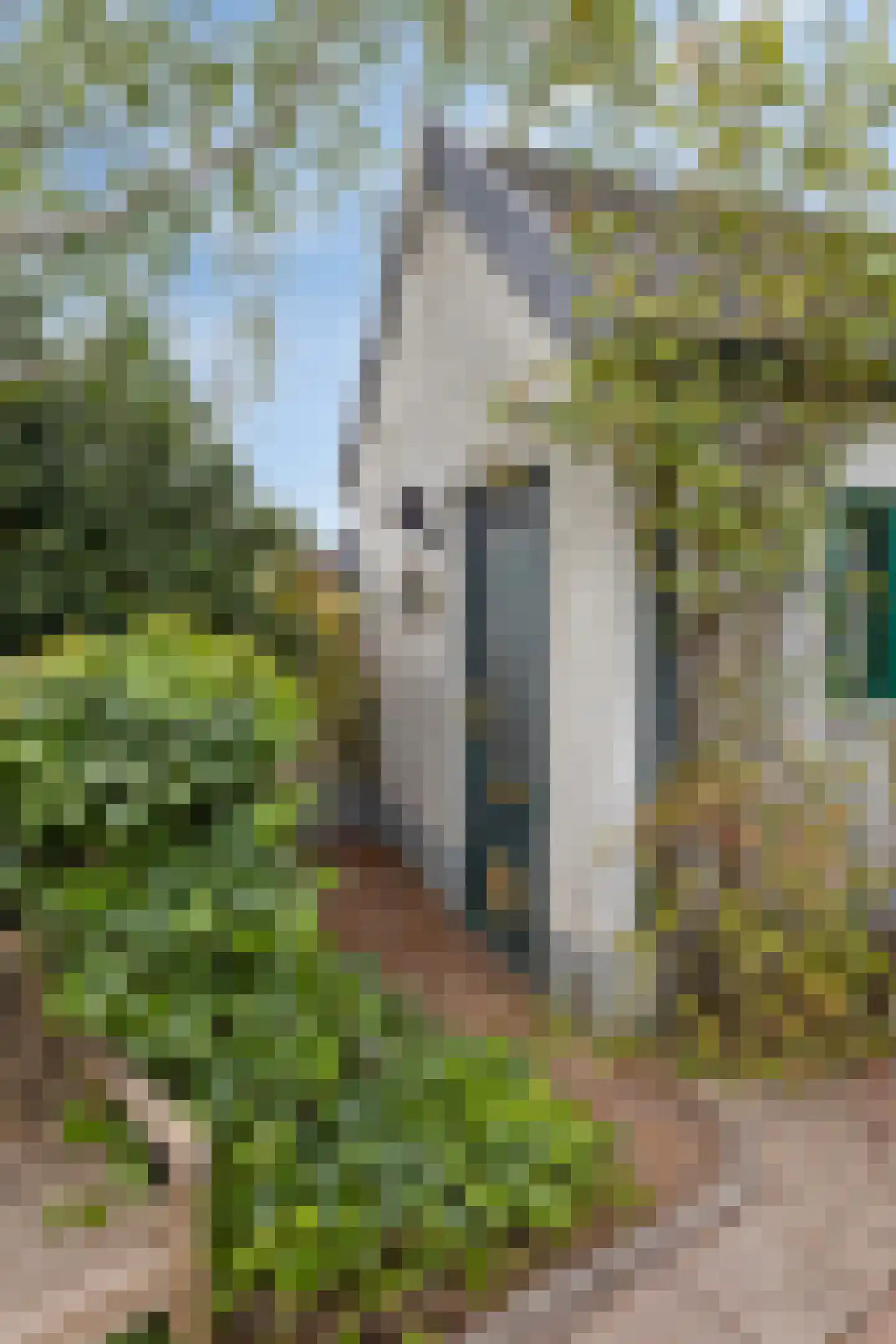 Hovendsestraat 18 Brakel thumbnail 7