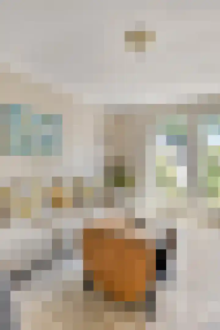 Hovendsestraat 9 Brakel thumbnail 13