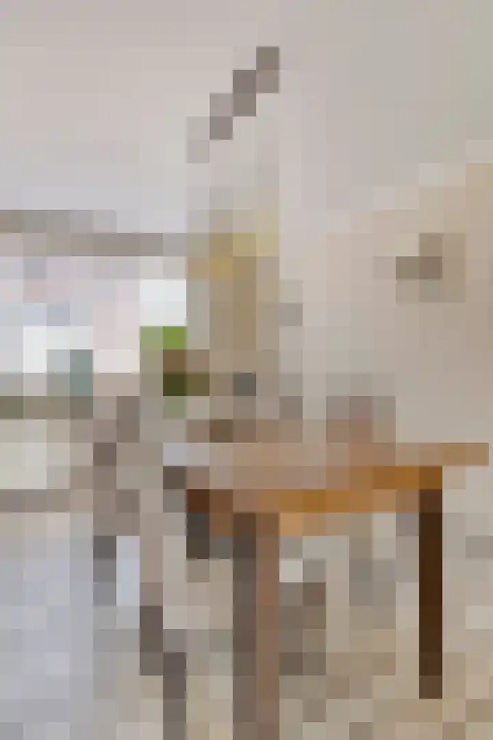 Hovendsestraat 9 Brakel thumbnail 14