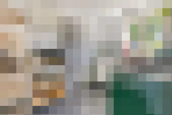 Hovendsestraat 9 Brakel thumbnail 15