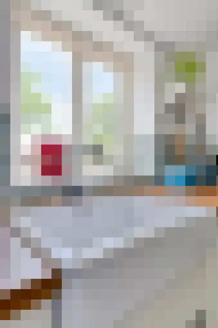 Hovendsestraat 9 Brakel thumbnail 17