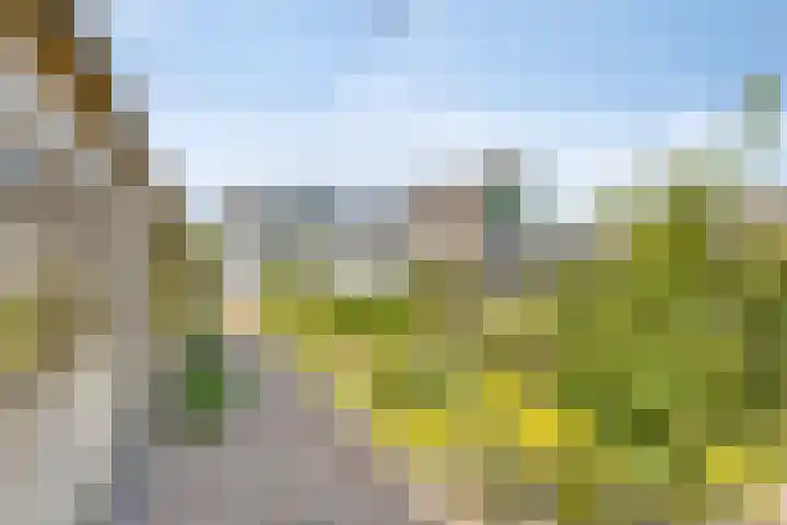 Hovendsestraat 9 Brakel thumbnail 26