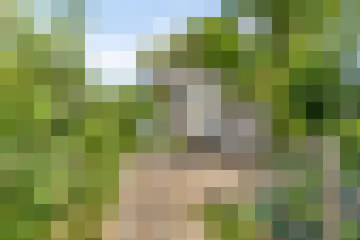 Hovendsestraat 9 Brakel thumbnail 28