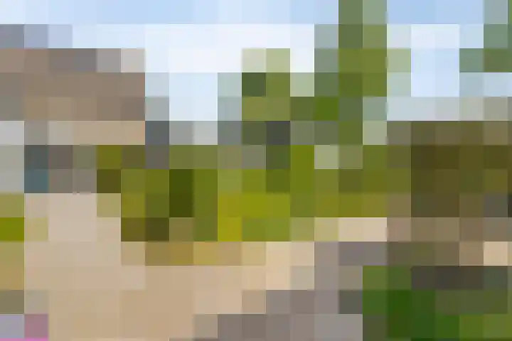 Hovendsestraat 9 Brakel thumbnail 30