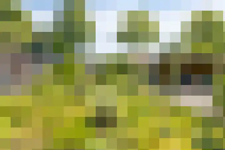 Hovendsestraat 9 Brakel thumbnail 31