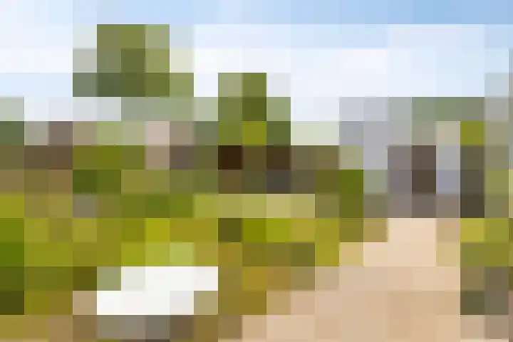 Hovendsestraat 9 Brakel thumbnail 32