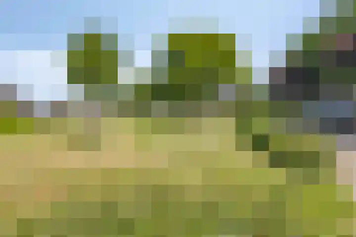 Hovendsestraat 9 Brakel thumbnail 33