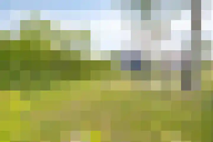 Hovendsestraat 9 Brakel thumbnail 34