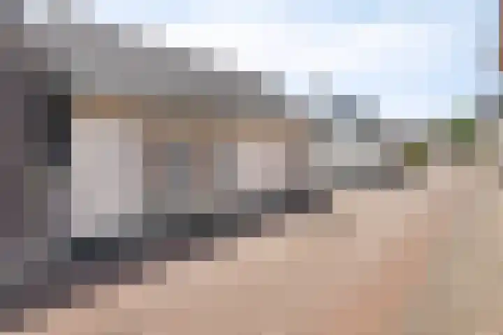 Hovendsestraat 9 Brakel thumbnail 4