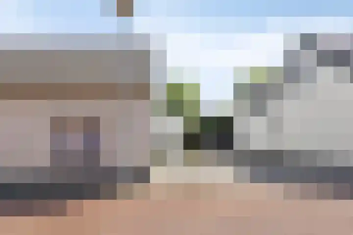 Hovendsestraat 9 Brakel thumbnail 5
