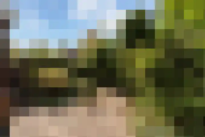 Hovenier 13 Rhoon thumbnail 18