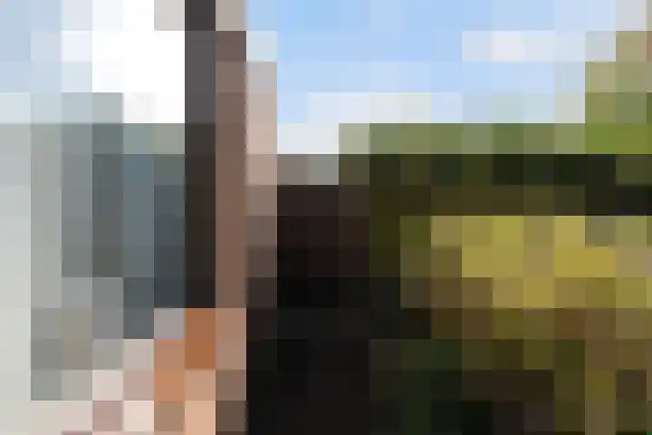 Hovenier 13 Rhoon thumbnail 19
