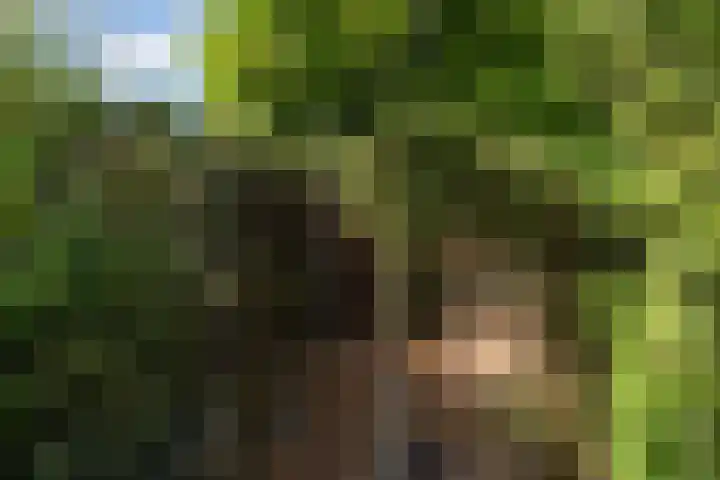 Hovenier 13 Rhoon thumbnail 20
