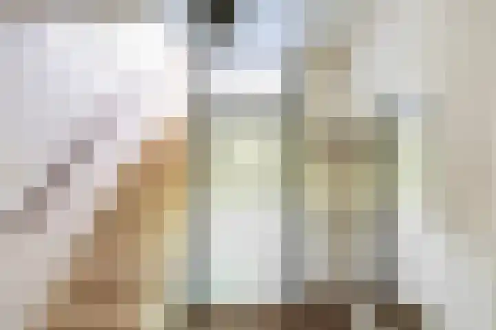 Hovenier 13 Rhoon thumbnail 21