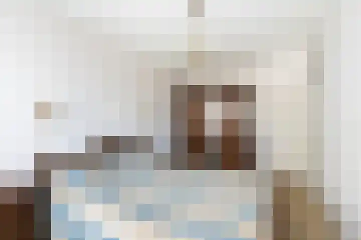 Hovenier 13 Rhoon thumbnail 23