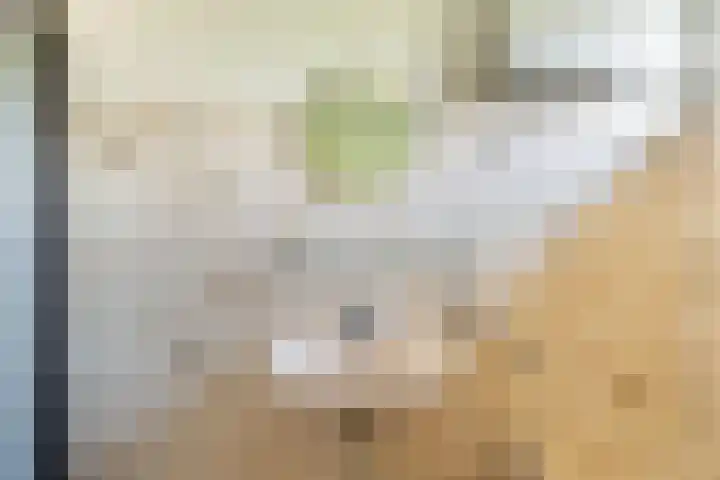 Hovenier 13 Rhoon thumbnail 31
