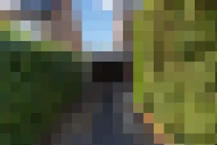Hovenier 13 Rhoon thumbnail 4