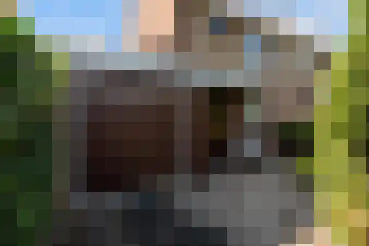 Hovenier 13 Rhoon thumbnail 5