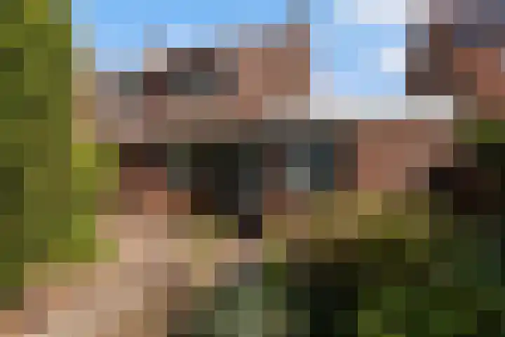 Hovenier 13 Rhoon thumbnail 7
